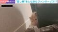 長毛ハムスターが回し車で運動→なぜかこちらをじっと見つめてくる姿に飼い主 「幸せな気持ちになりました」