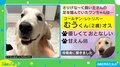 大型犬あるある？ 笑顔でさりげなく飼い主の足を踏んでいたイヌが話題 飼い主「気づかないくらい優しかった」