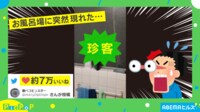 【映像】「そんなことある?」風呂場に突如現れた“珍客”