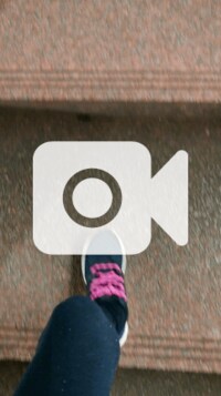 秋野暢子『入院まで、最後のお散歩』