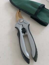 細川直美『NEW』