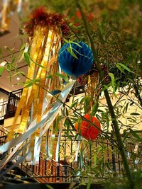 真矢ミキ『願い。』