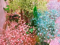 鈴木あや『お別れしました。』