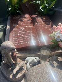 キャシー中島『今日は七のつく日』