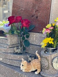 キャシー中島『今日は七がつく日なので』