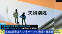 【映像】「パートナーシップ制度+事実婚を」要望なぜ？制約が多く不便？当事者に聞く