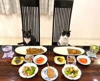 藤あや子『昨日の晩ごはん』