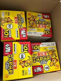 平野ノラ『大量』