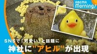 京都・粟田神社に大量の“アヒル”出現