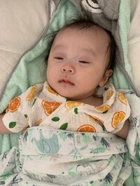 キンタロー。旦那『半目で今にも起きそうな“ちびキン”ちゃん。』