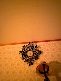 堀ちえみ『月曜日です!一度4時半に目が覚め二度寝しました』