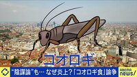 【映像】「規模にびっくり」陰謀論まで…“コオロギ食”なぜ炎上？