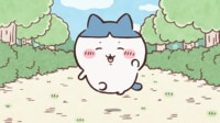 アニメ「ちいかわ」ハチワレとは？前髪ぱっつん、スフィンクス