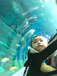 アレク、海の近くに別荘が欲しい妻へリクエスト「プールはないとヤダよー」