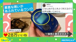 可愛いミニチュアダックスフントの“意外なホンネ”に「昭和のリアクションで草」「どこでそんな言葉覚えたんだ…」と反響