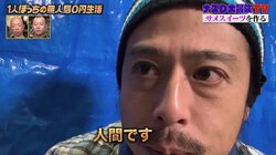 サメの天敵はシャチではなく…ナスD「毎年日本人の人口ぐらいのサメが、人間によって殺されている」