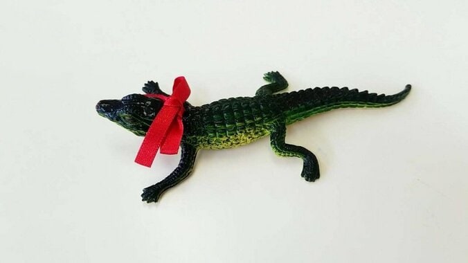 ワニつながり？映画『妻ふり』と熱川バナナワニ園がワニコラボキャンペーンを実施 2枚目