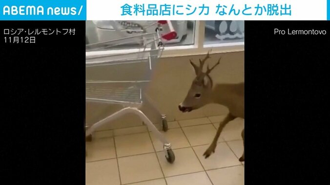 ロシア・レルモントフ村