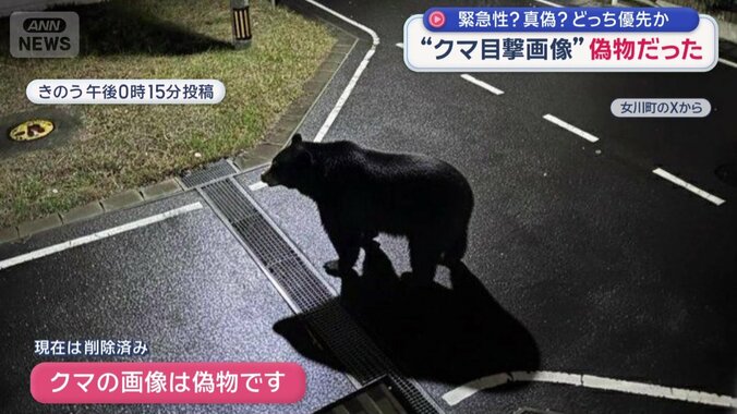 クマの画像は偽物です