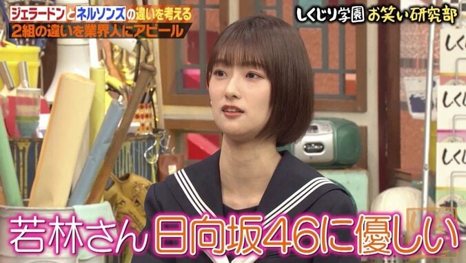 ハライチ澤部、櫻坂46メンバーに優しくするよう叱られる 「自分で切り開いてけよ！」 1枚目