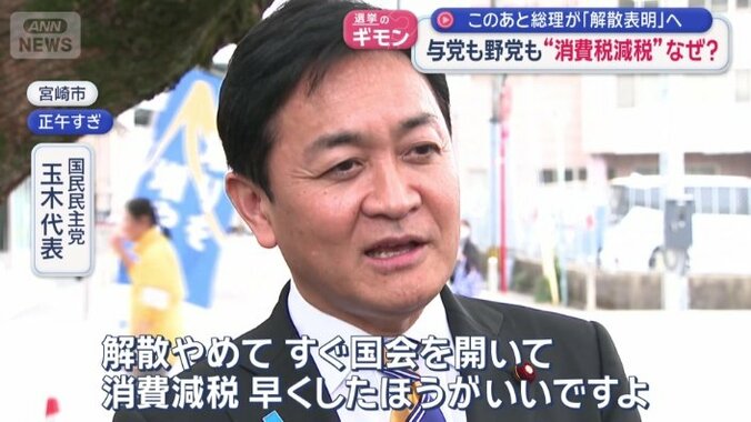 国民民主党　玉木代表
