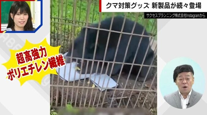 熊テクター（実証実験）