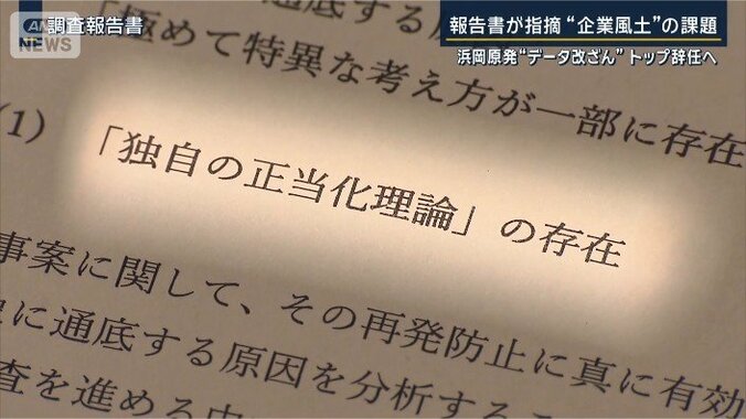 「独自の正当化理論」
