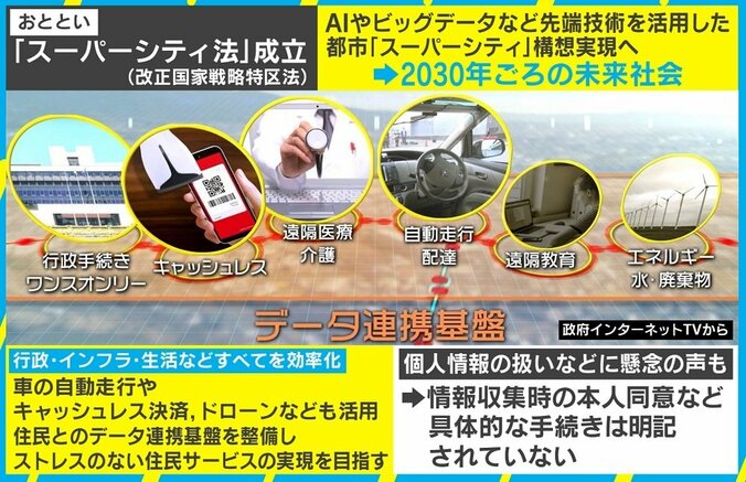 IT駆使した“スーパーシティ”の先にある未来の街は？ サリー楓氏「物理的なインフラやサービスの境目がなくなる」 2枚目
