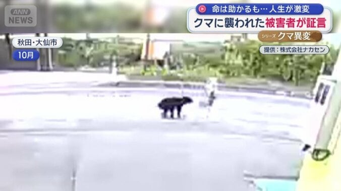 クマは繰り返し女性に襲い掛かる