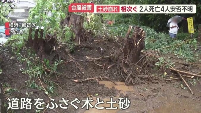 斜面の上から根っこごと…