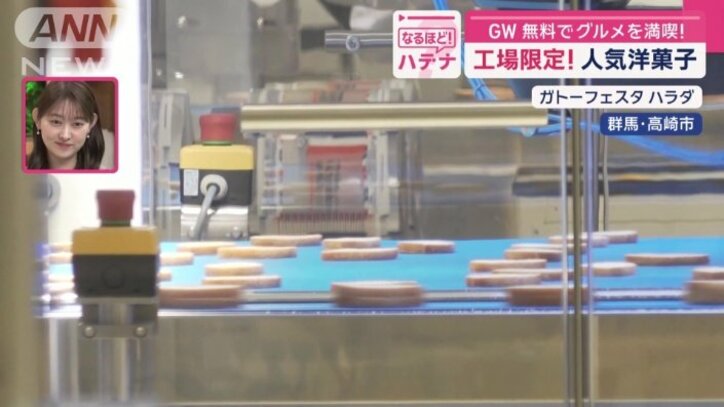 工場も無料で見学