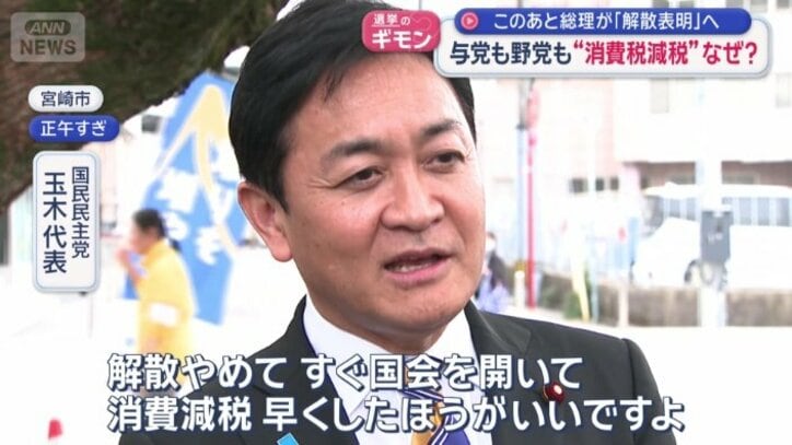 国民民主党　玉木代表
