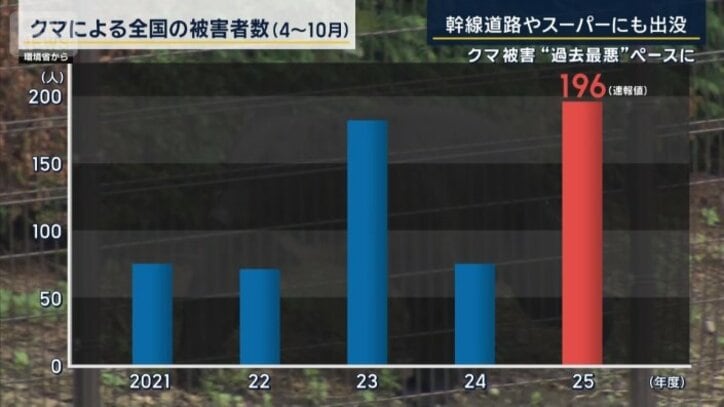 クマによる全国の被害者数
