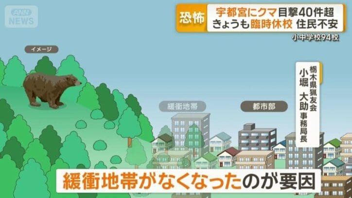 なぜ都市部にもクマ？