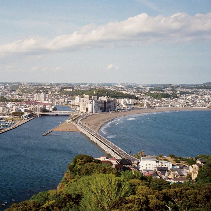 【写真・画像】　2枚目