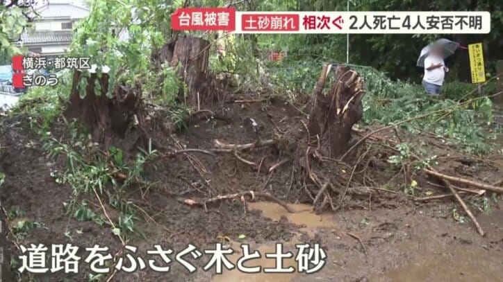 斜面の上から根っこごと…