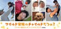 スギちゃんの妻、夜驚症と診断された3歳長男「眠りながら泣いて叫んで暴れる」