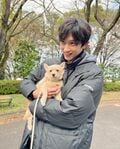 『恋です！』犬を抱っこする杉野遥亮のオフショットに「胸の中飛び込んでもいいでしょうか？」「犬になりたい」とファン歓喜