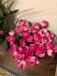 市川海老蔵『さださん』