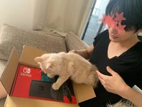 桃『やっと手に入れた！入手困難で縁のなかったSwitch！』