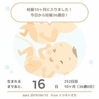 蒼井そら『臨月。』