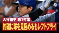 【映像】大谷、軽く振って112mの大飛球
