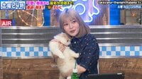 可愛い動画から殺処分問題まで！ 激論！朝まで“猫”テレビ