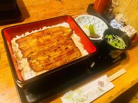 戸田恵子『しょくよく。』