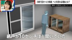 川崎市で巨大ニシキヘビ2匹が脱走…「エアコンの室内機に入り込む可能性」「狭い場所を探した方がいい」iZoo園長が指摘