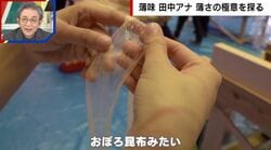 「おぼろ昆布のような薄さ」かんな薄削りの“スゴ技” 100分の1ミリに挑む職人たち