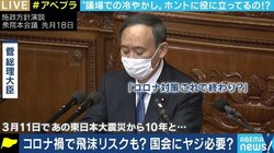 「正常な議会運営には必要」「審議が円滑に進むこともある」“ヤジ賛成派”の国会議員に理由を聞いてみた