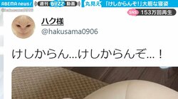 飼い主思わず「けしからんぞ！」猫の大胆な寝姿に「刺激強すぎw」と150万回再生