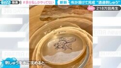 まるで刺繍の標本 布が溶けて完成する“透過刺繍”に見惚れる人続出「繊細な存在感」と200万回再生