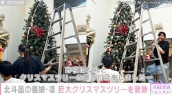 北斗晶の義娘・凛、脚立を使い2m超えのクリスマスツリーを装飾…1歳長女も興味津々「何回も見上げていて、可愛かったです」